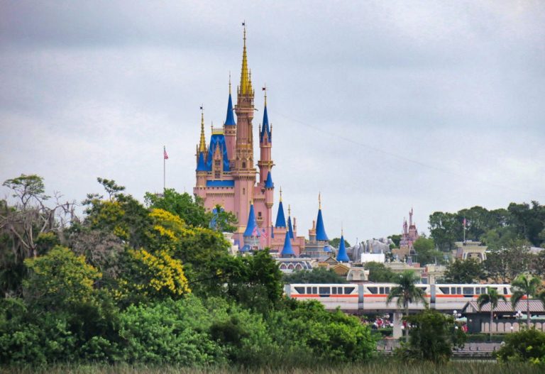 Disney World, The Place Where Dreams Can Come True— But Not DEI