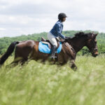 Hidden History: Cheryl White Was The First Black Female Jockey. Her Story Is Finally Being Told