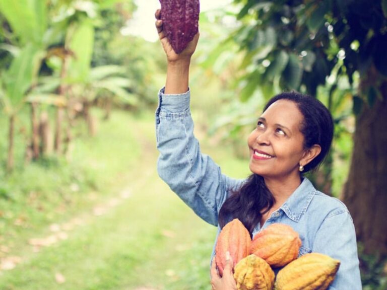 Going To Grenada For Carnival? Check Out This Black Woman–Owned Plantation