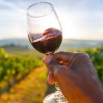 The Black Wine History You Should Know Before Your Next Glass