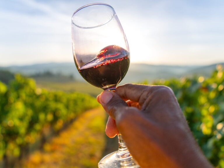 The Black Wine History You Should Know Before Your Next Glass